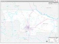 Ben Hill, Ga Carrier Route Wall Map
